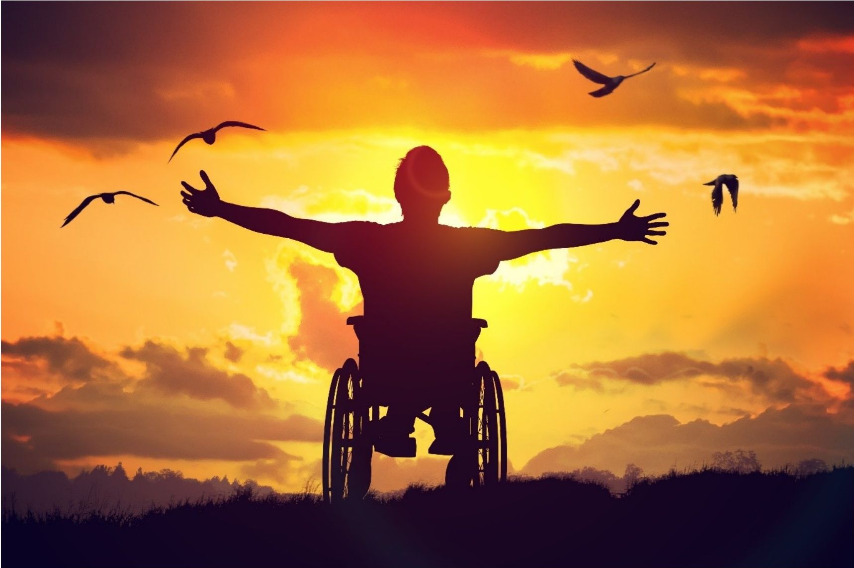 A silhouette of a person in a wheelchair with arms outstretched against a sunset sky